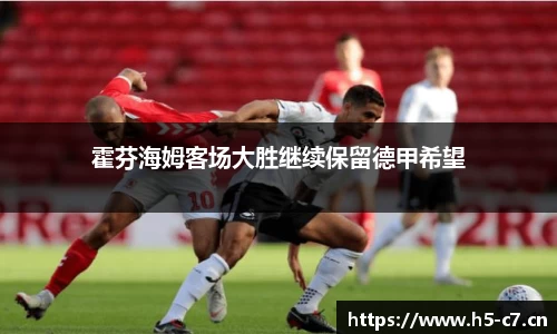霍芬海姆客场大胜继续保留德甲希望